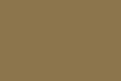 Camel 5181