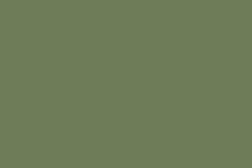 Sage 715