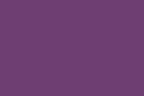 Plum 8153